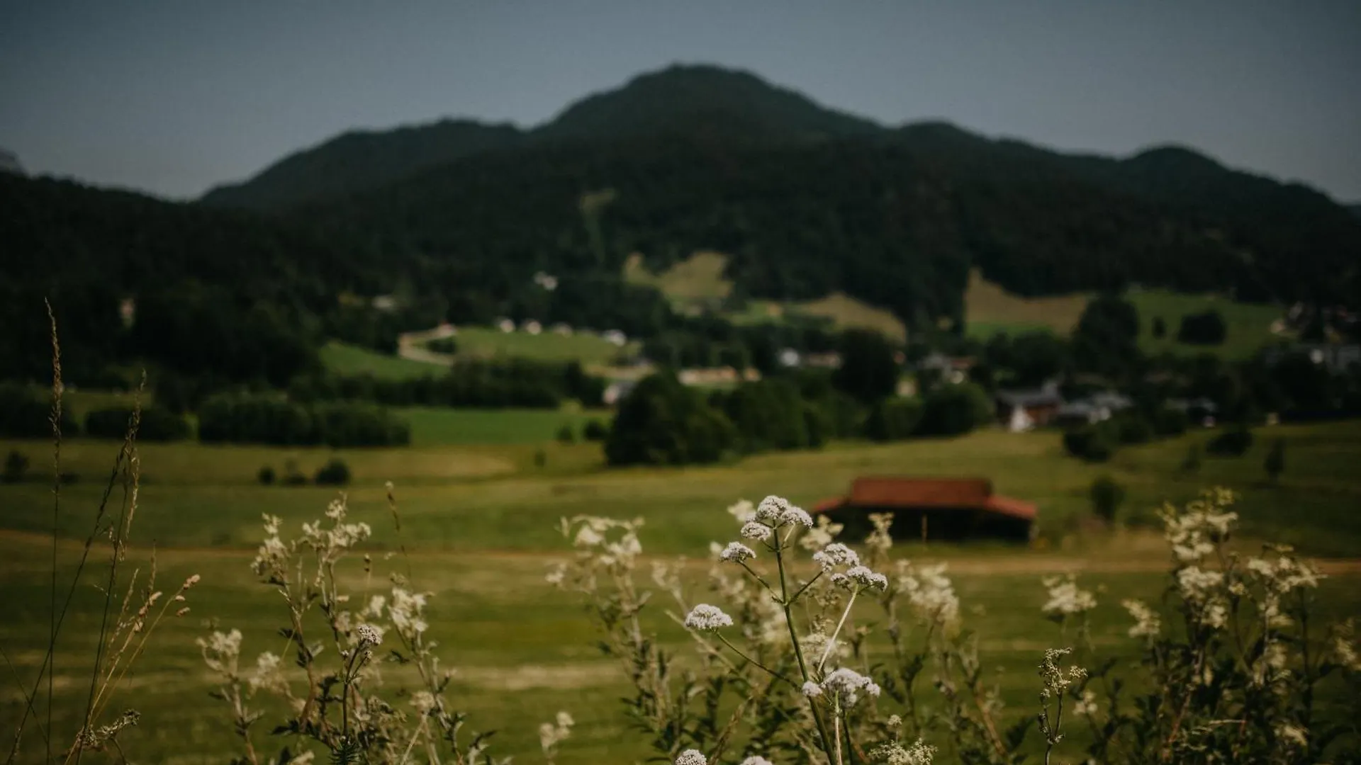 Apartament Haus Bergfrieden Berchtesgaden